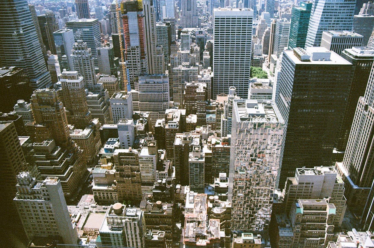 Header img