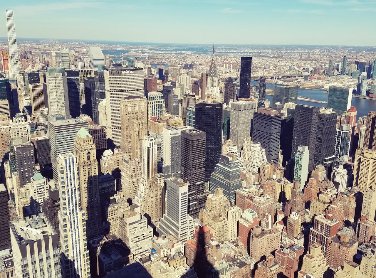 Header img
